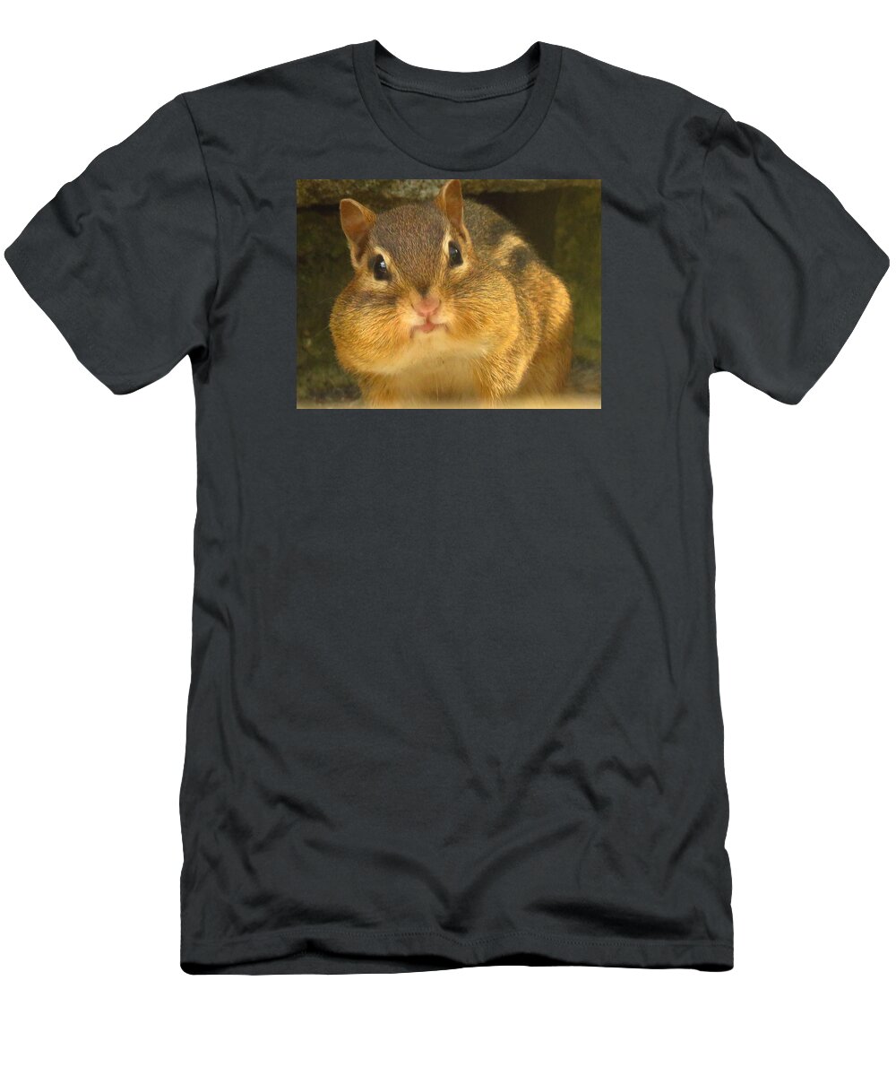Chipmunks T-Shirt featuring the photograph Mister Chubby Cheeks by Lori Frisch