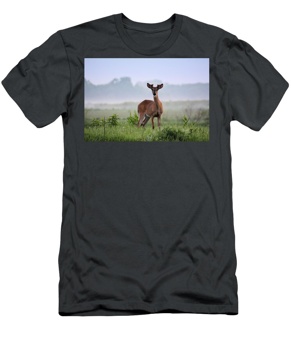 Deer T-Shirt featuring the photograph Misty Buck by Bonfire Photography