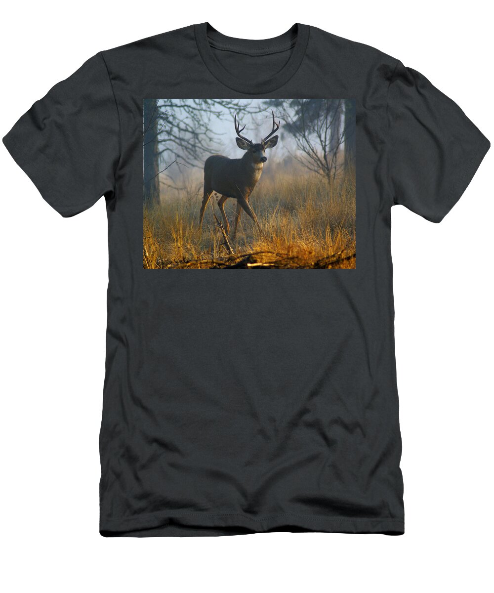 Deer T-Shirt featuring the photograph Misty Morning Buck by Ben Upham III