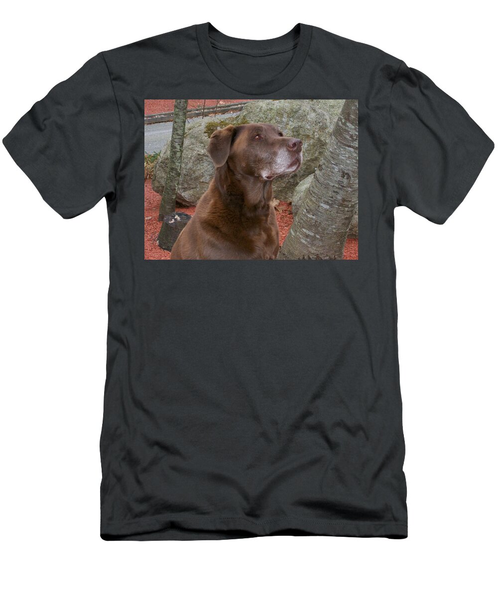 Photography T-Shirt featuring the photograph Mocha's Portrait by Barbara S Nickerson