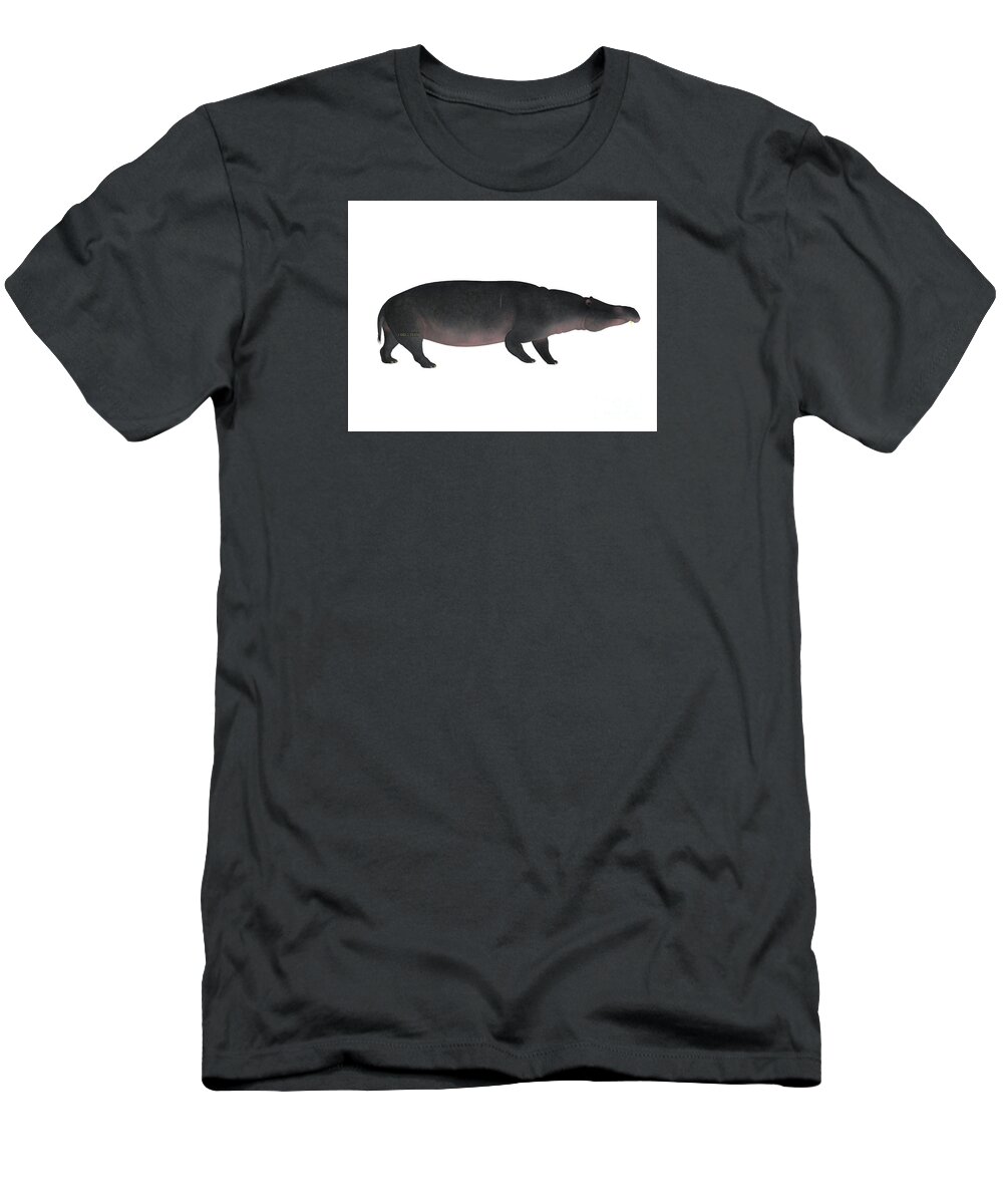 Moeritherium T-Shirt featuring the painting Moeritherium Side Profile by Corey Ford