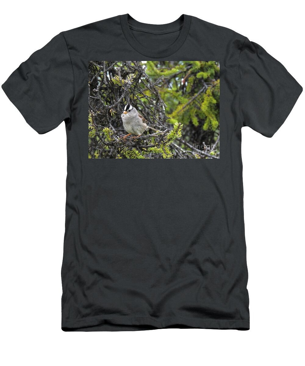 Bird T-Shirt featuring the photograph Mohawk by Grant Bolei