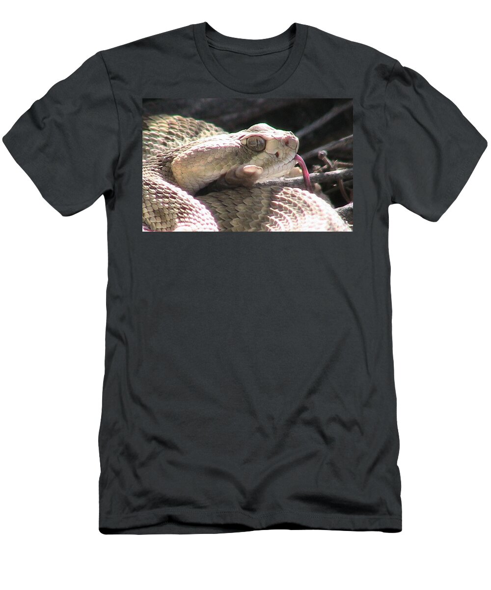 Coiled T-Shirt featuring the photograph Mojave Rattlesnake 4 by Judy Kennedy