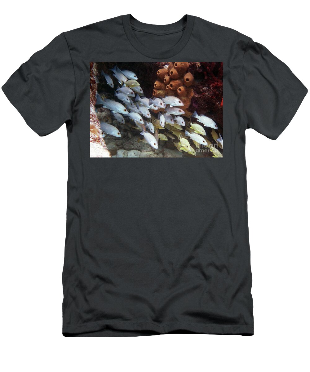 Underwater T-Shirt featuring the photograph Molasses Reef 5 by Daryl Duda