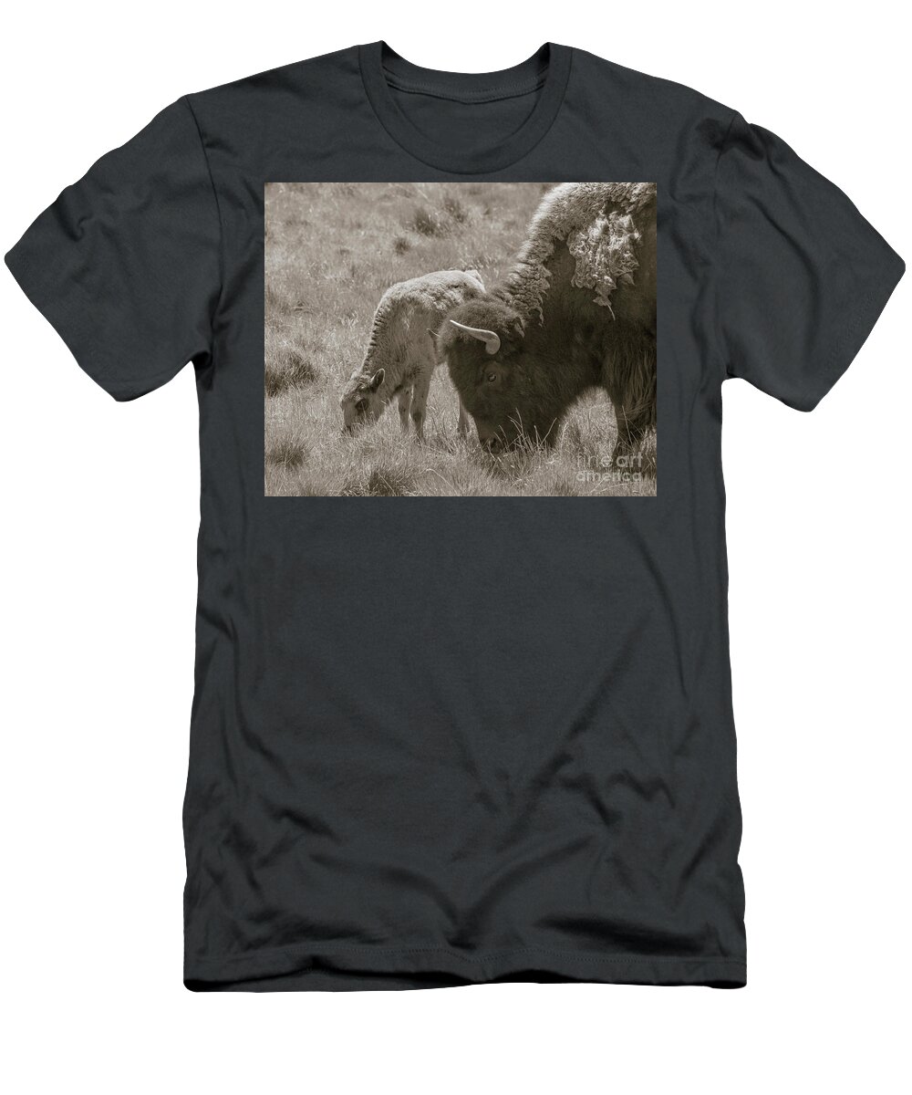 Buffalo T-Shirt featuring the photograph Mom And Baby Buffalo by Rebecca Margraf