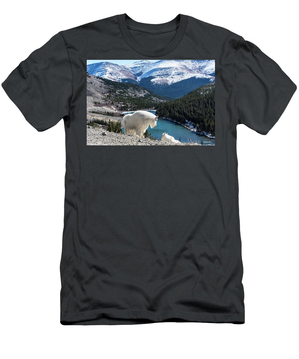 Mountain Goats T-Shirt featuring the photograph Momma Goat and Kid Overlooking Blue Lakes by Stephen Johnson