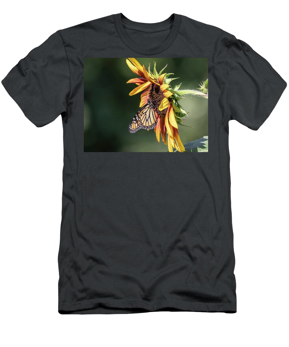 Monarch Butterfly T-Shirt featuring the photograph Monarch 2018-7 by Thomas Young