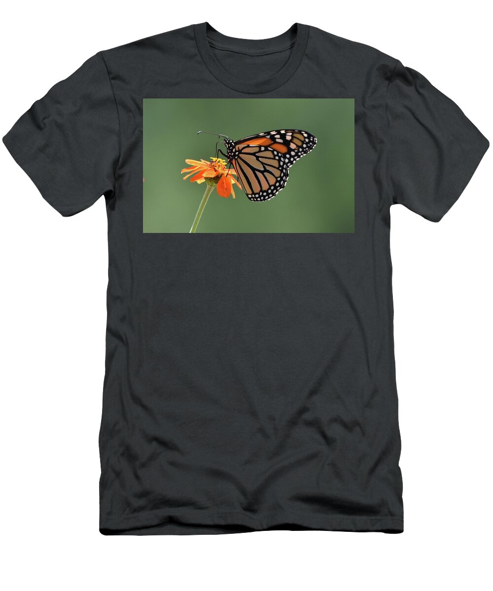 Monarch T-Shirt featuring the photograph Monarch by Ben Foster