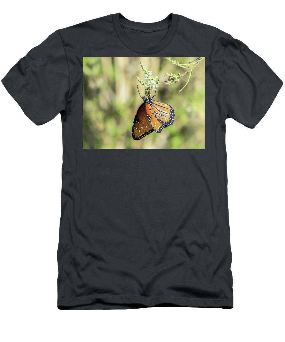 Monarch T-Shirt featuring the photograph Monarch Butterfly 7504-101017-2cr by Tam Ryan