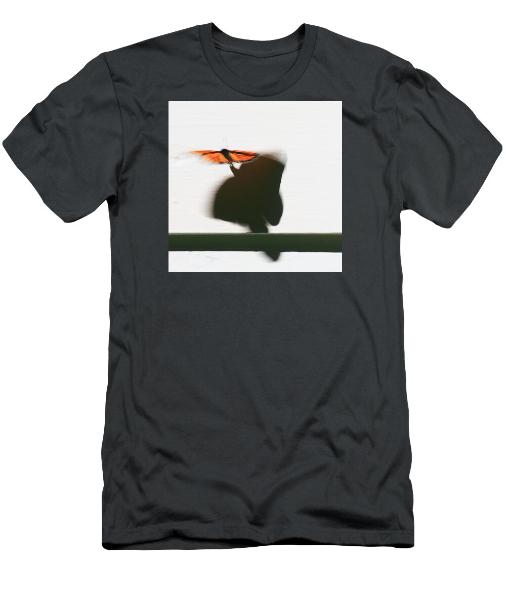 Monarch Butterfly Shadow T-Shirt featuring the photograph Monarch Butterfly Shadow by PJQandFriends Photography