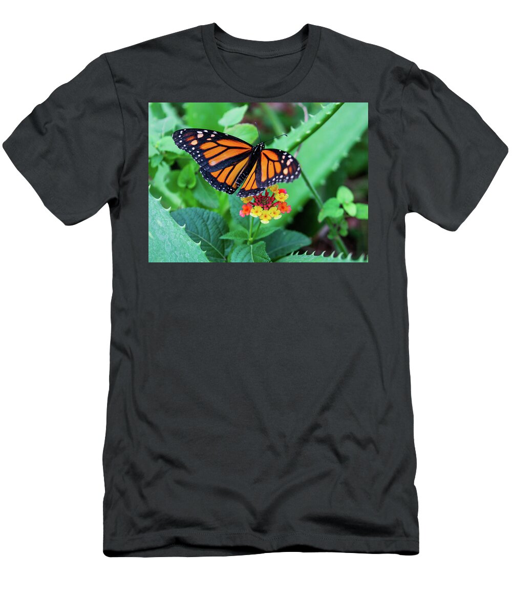 Butterfly T-Shirt featuring the photograph Monarch by Kent Nancollas