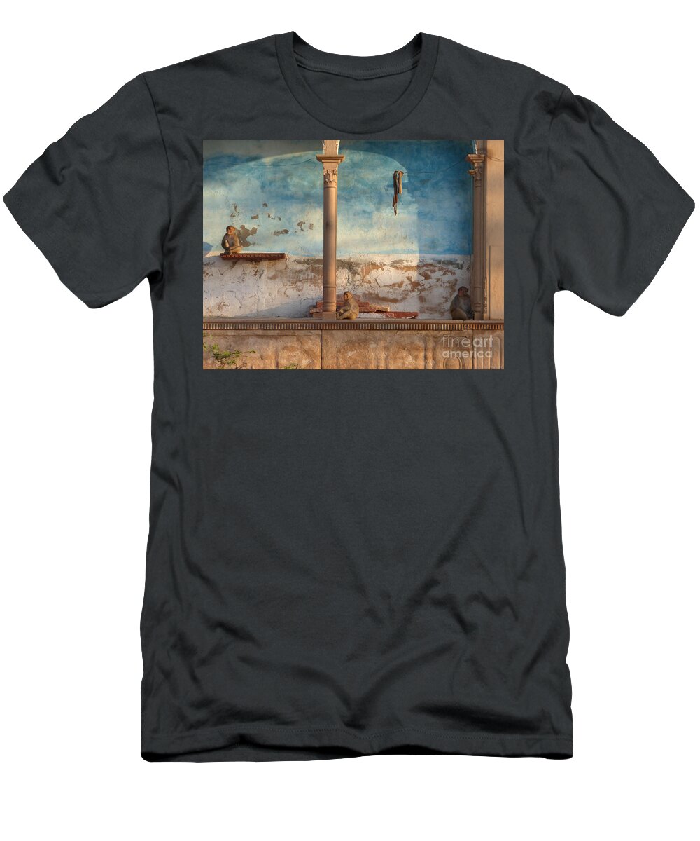 Monkey T-Shirt featuring the photograph Monkeys at sunset by Jean luc Comperat
