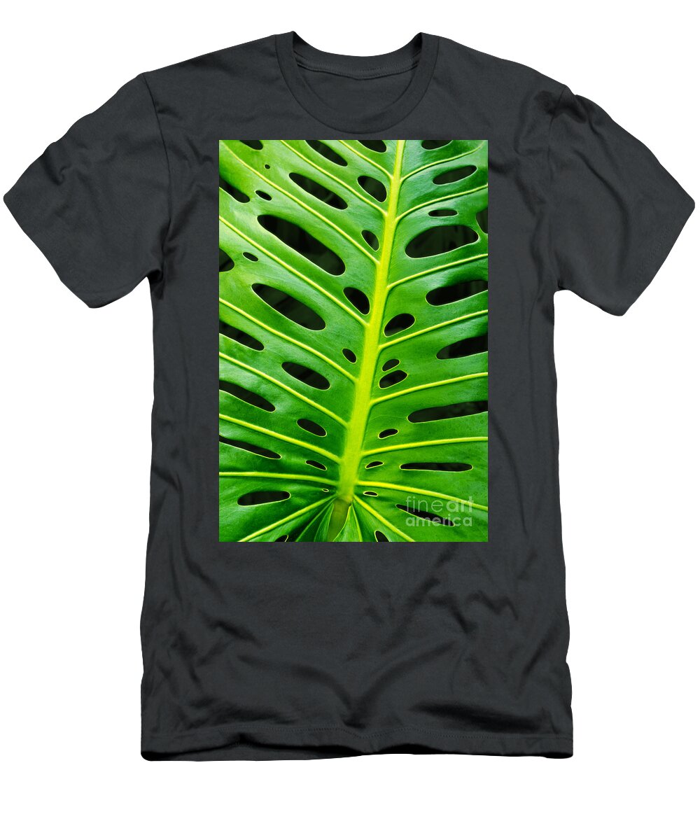Abstract T-Shirt featuring the photograph Monstera leaf by Carlos Caetano