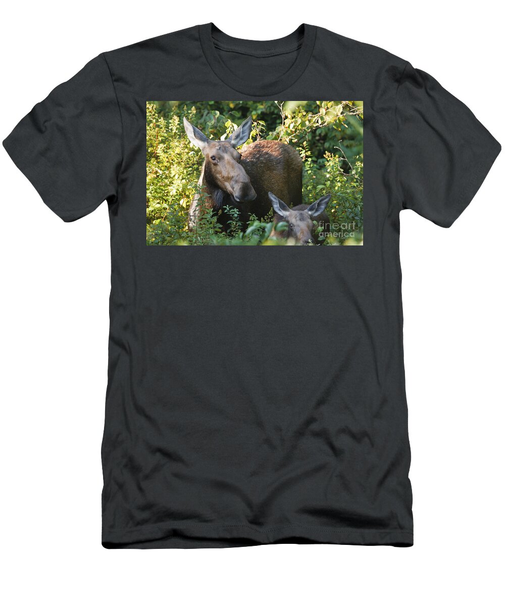 White Mountain National Forest T-Shirt featuring the photograph Moose - White Mountains New Hampshire by Erin Paul Donovan