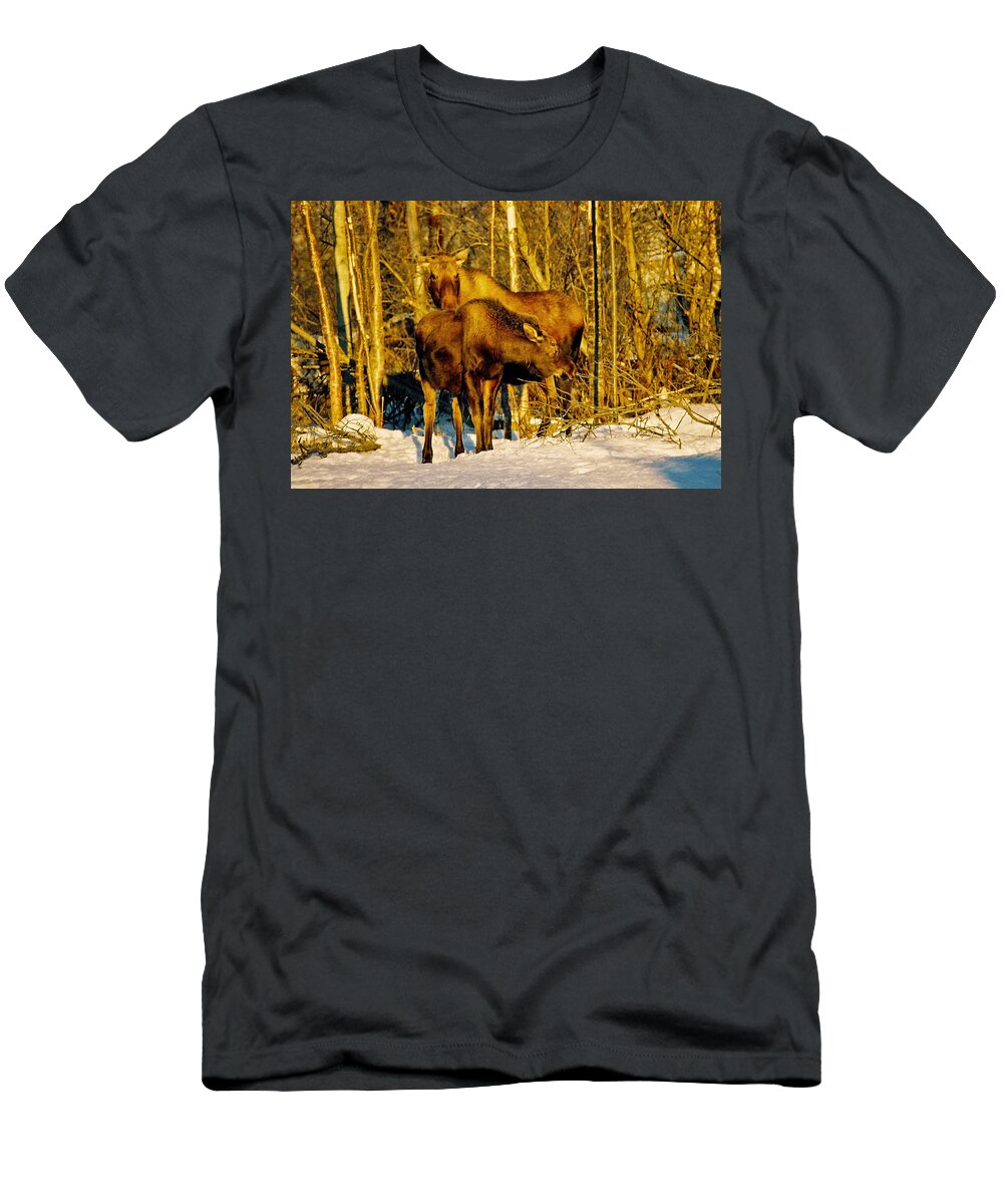 Morning T-Shirt featuring the photograph Moose in the Morning by Juergen Weiss