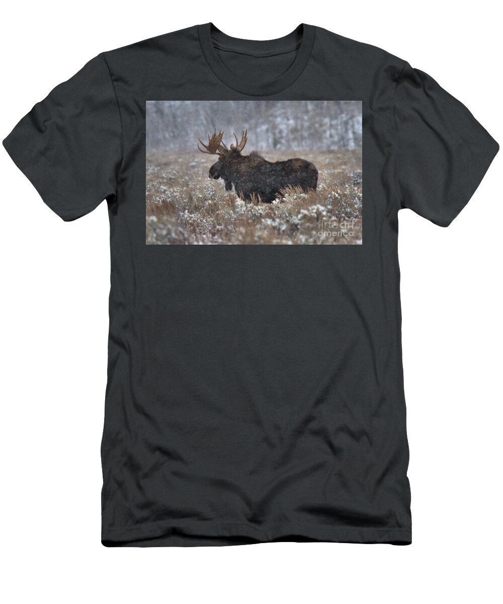 Moose T-Shirt featuring the photograph Moose In The Snowy Brush by Adam Jewell