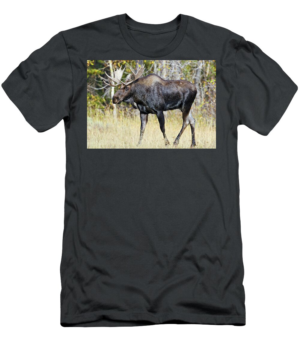 Bull T-Shirt featuring the photograph Moose on the Move by Wesley Aston