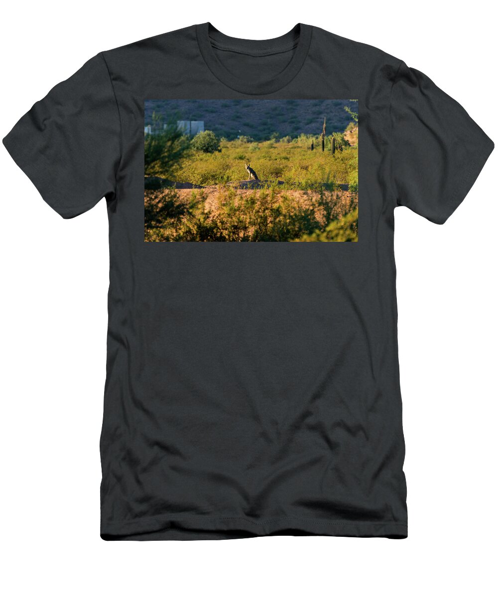 Coyote T-Shirt featuring the photograph Morning Coyote by Douglas Killourie