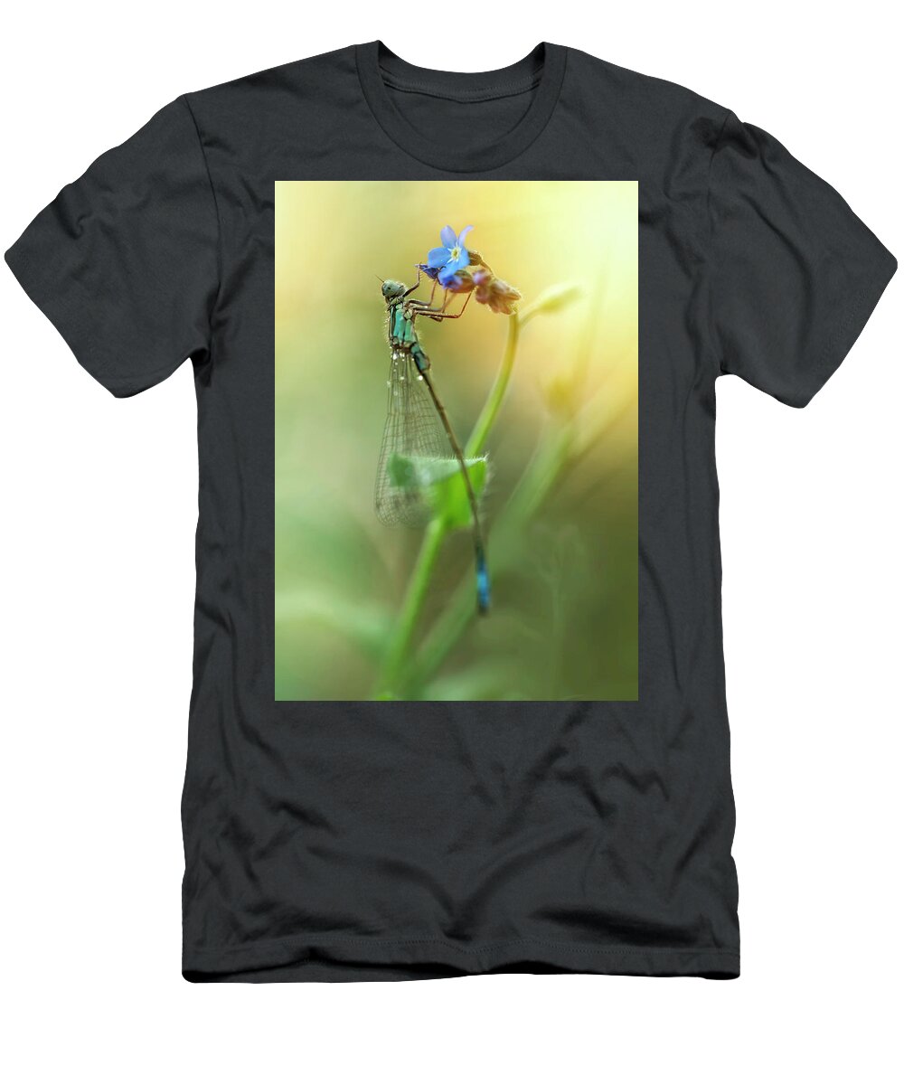 Dragonfly T-Shirt featuring the photograph Morning impression with blue dragonfly by Jaroslaw Blaminsky