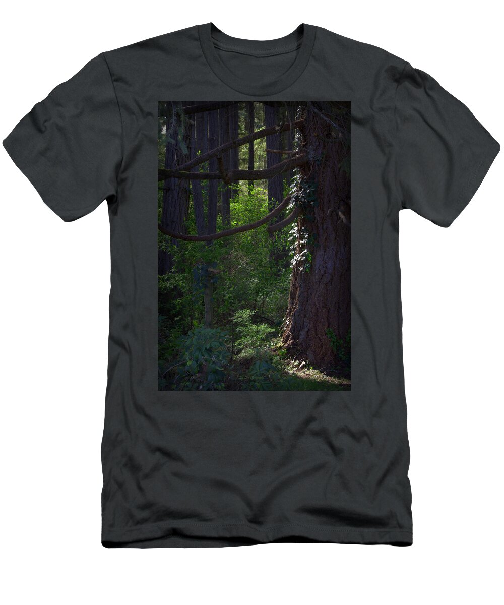 Wood T-Shirt featuring the photograph Morning In The Pacific Northwest by Jeanette C Landstrom