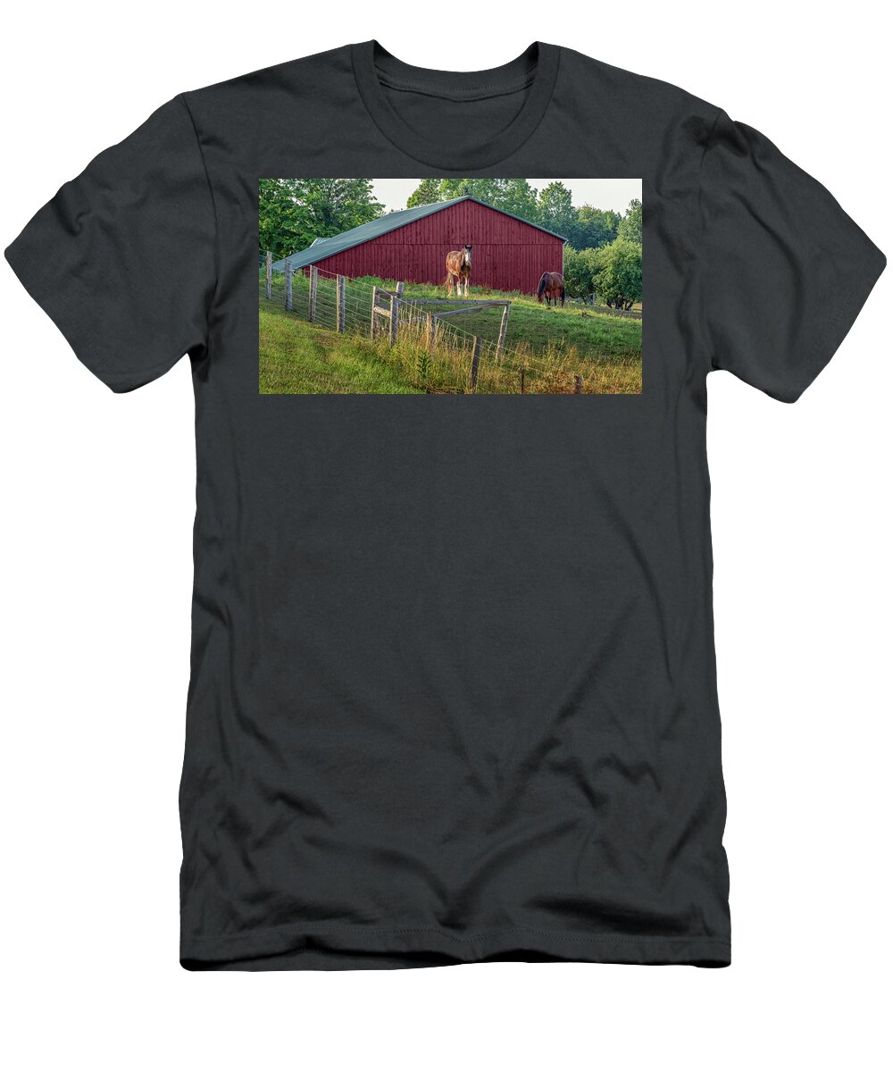 Horse T-Shirt featuring the photograph Morning in the Pasture by Rod Best