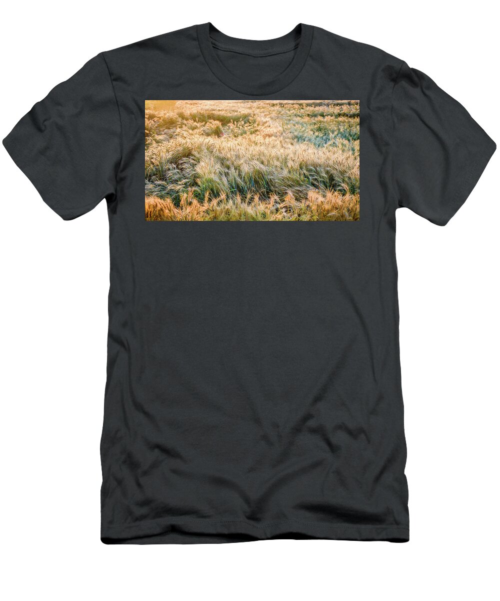 Landscape T-Shirt featuring the photograph Morning Wheat by Joe Shrader