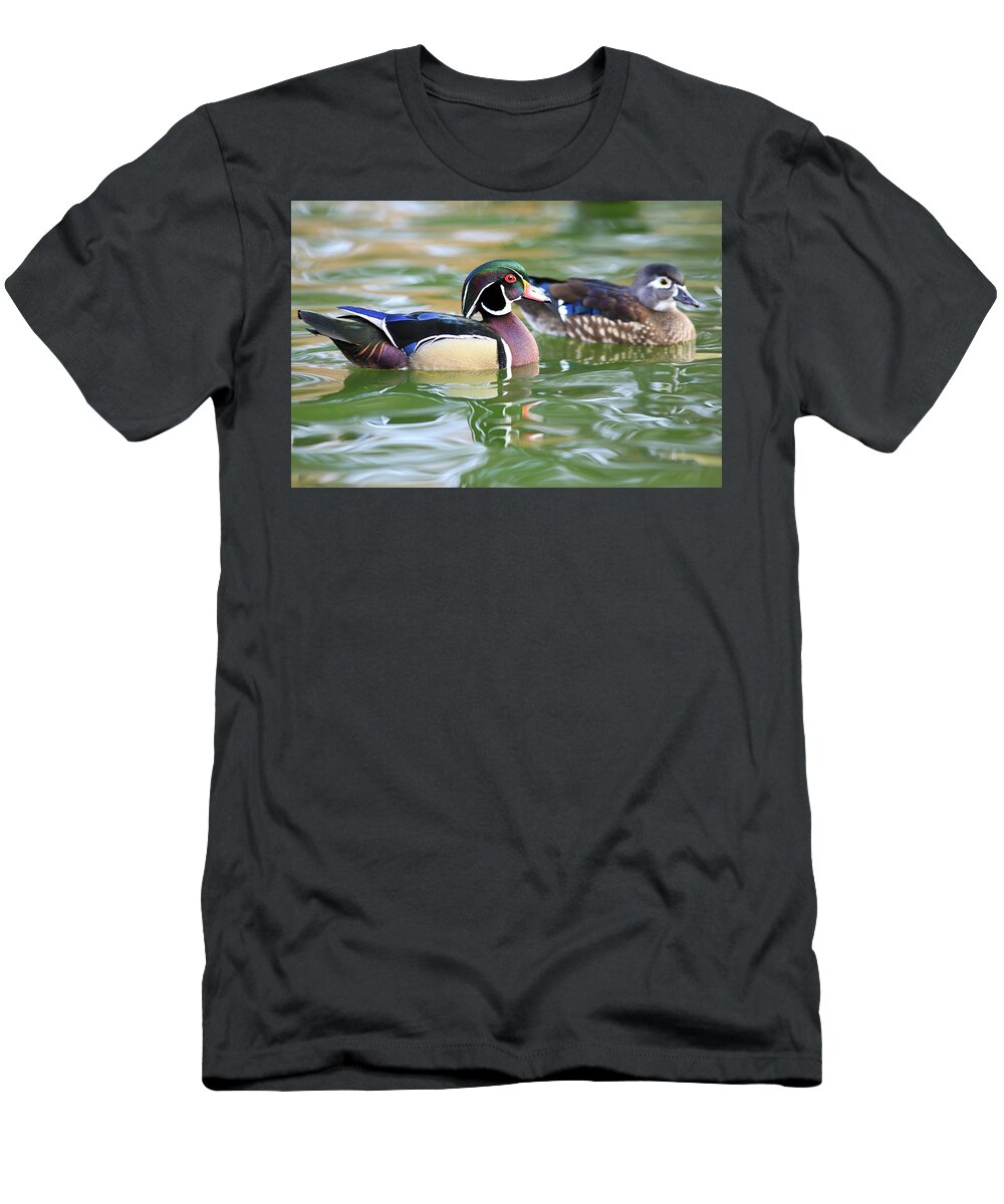 Morning With Wood Ducks T-Shirt featuring the photograph Morning with wood ducks by Lynn Hopwood