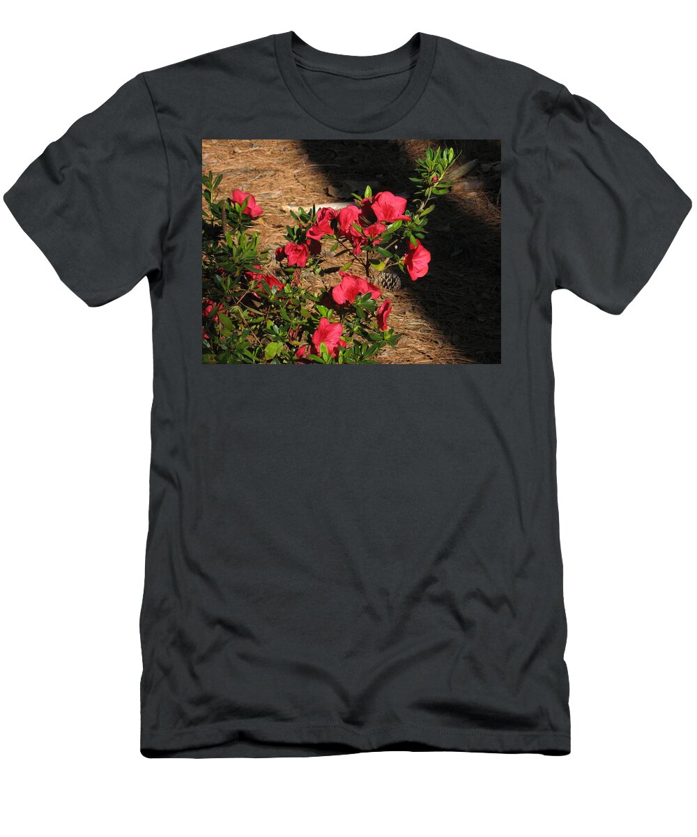 Azaleas T-Shirt featuring the photograph Mornings in March by Judith Lauter