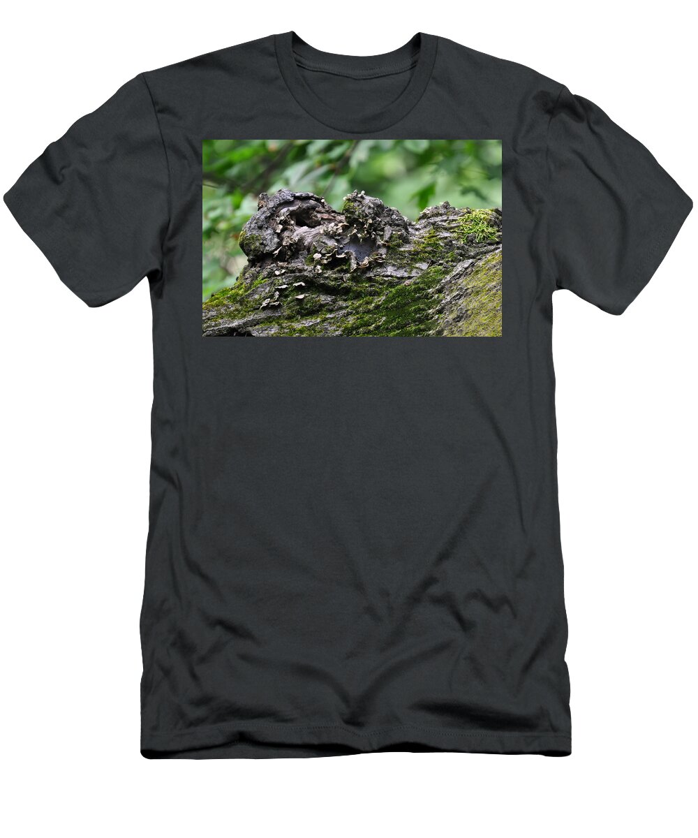 Tree T-Shirt featuring the photograph Mossy Tree Knot by Flees Photos
