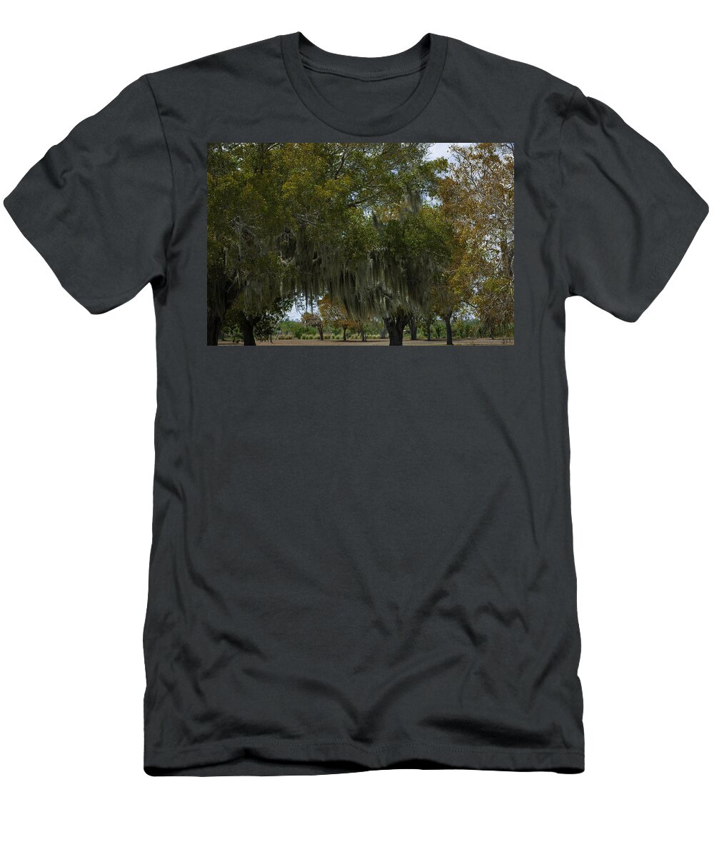 Moss T-Shirt featuring the photograph Mossy Trees by Jason Moynihan