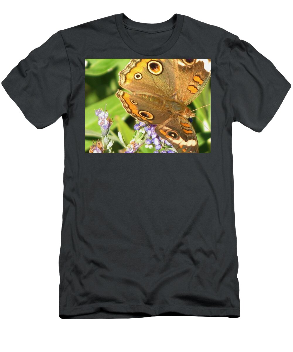 Moth T-Shirt featuring the photograph Moth 1 by Vijay Sharon Govender