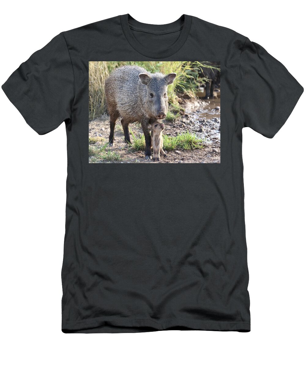 Arizona T-Shirt featuring the photograph Mother and Baby Javelina by Steve Wolfe