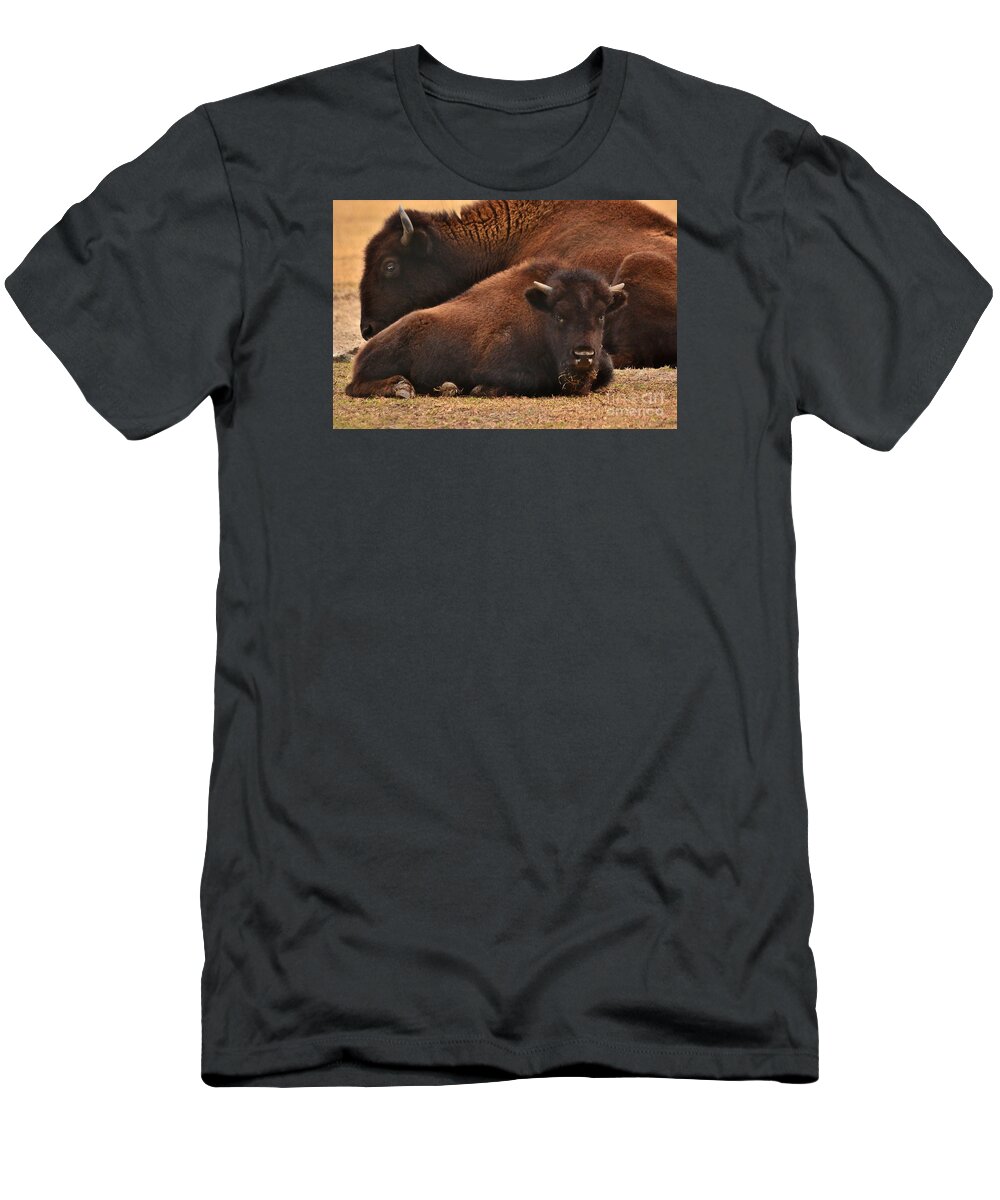 Buffalo T-Shirt featuring the photograph Mother And Child by Kathy Baccari