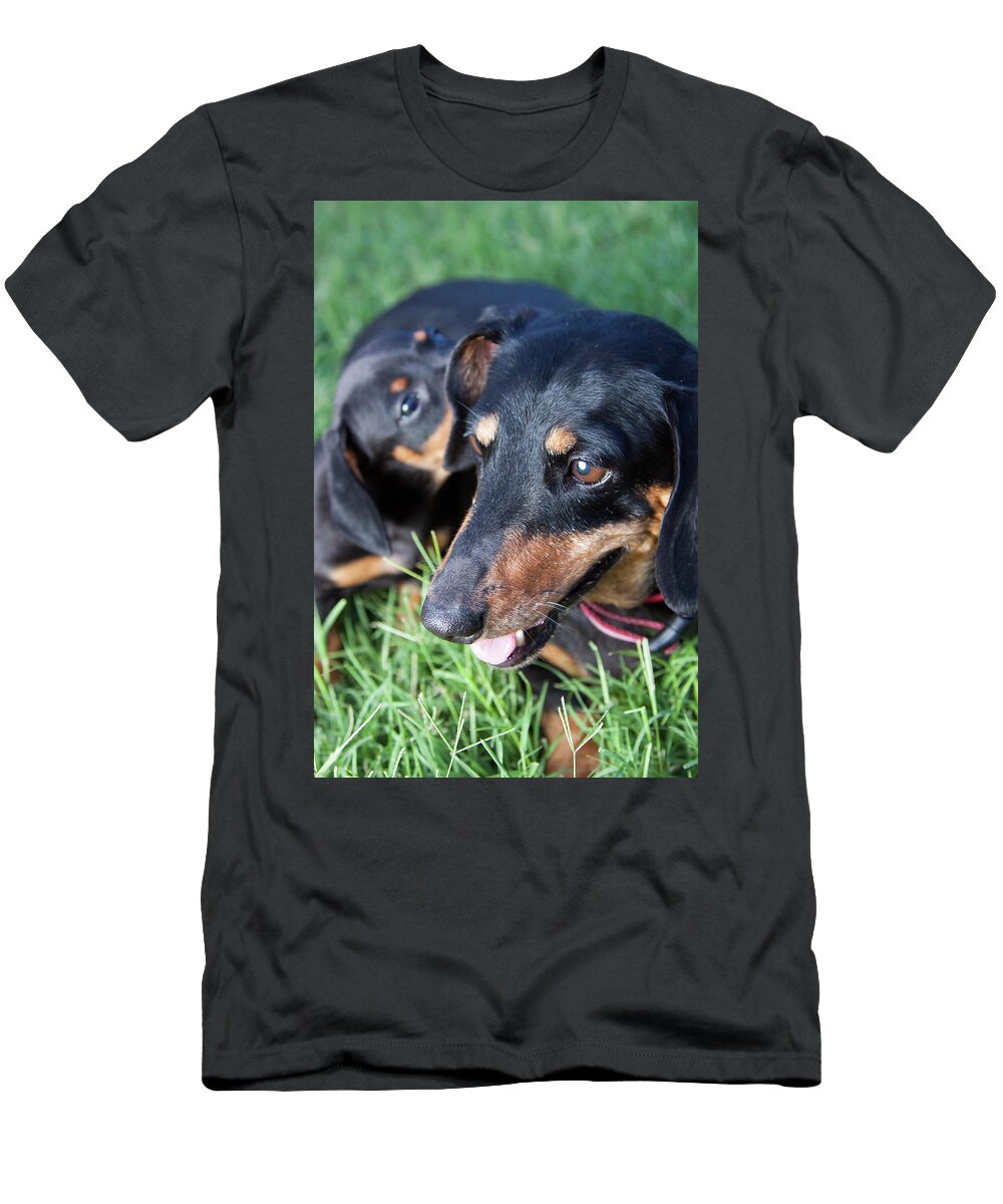 Bubbles T-Shirt featuring the photograph Mother Dachshund and Puppy by SR Green