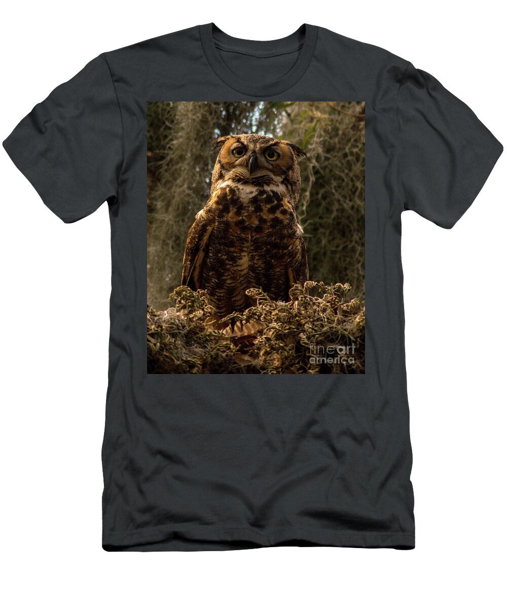 Owl T-Shirt featuring the photograph Mother Owl Posing by Jane Axman