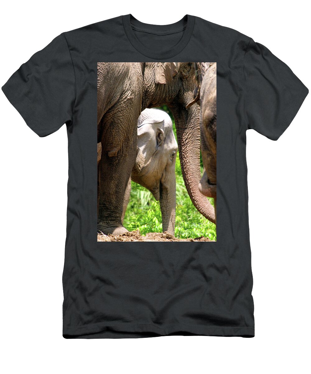 Nature T-Shirt featuring the photograph Mothers Love by Alan Look