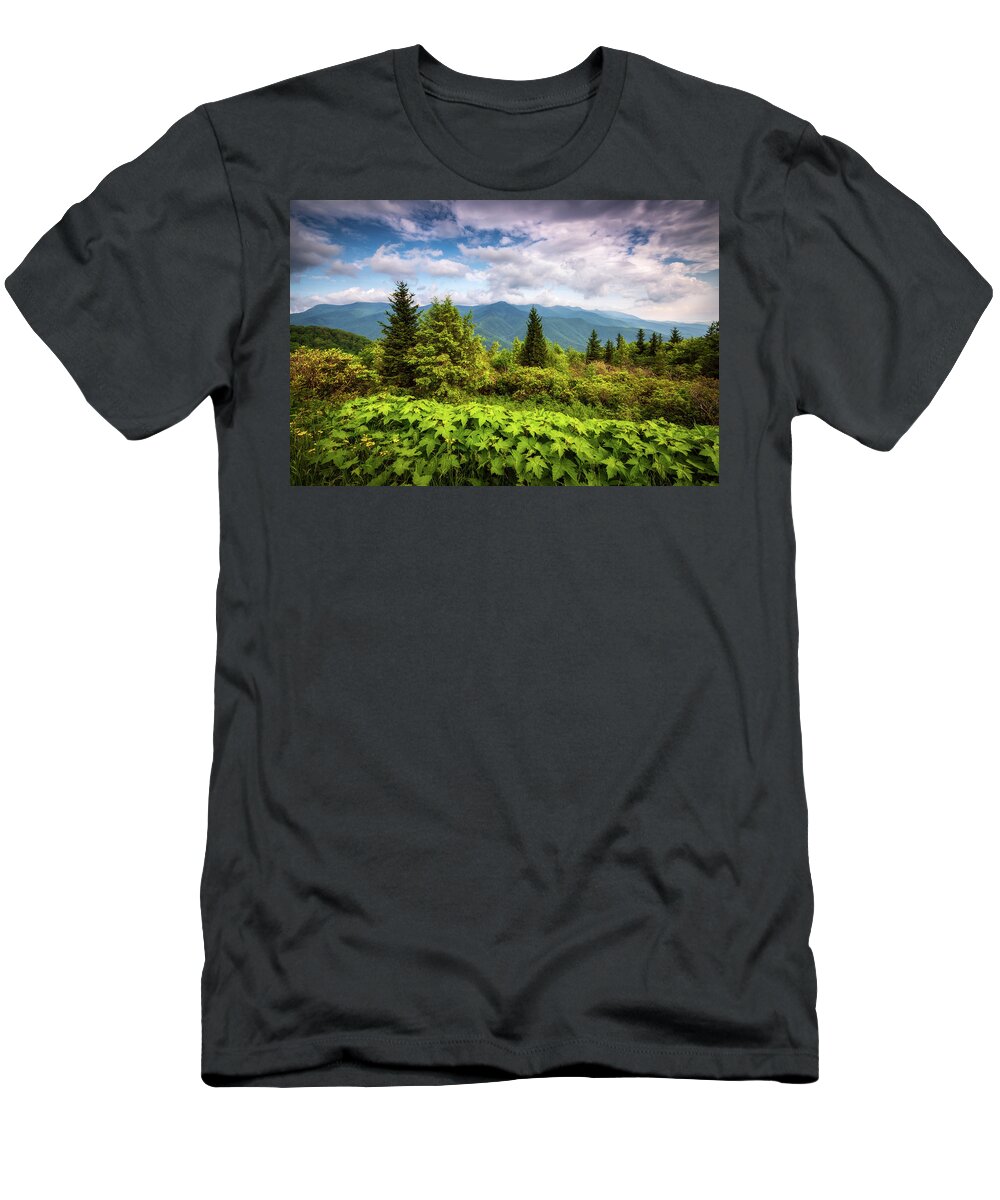 Mount Mitchell T-Shirt featuring the photograph Mount Mitchell Asheville NC Blue Ridge Parkway Mountains Landscape by Dave Allen