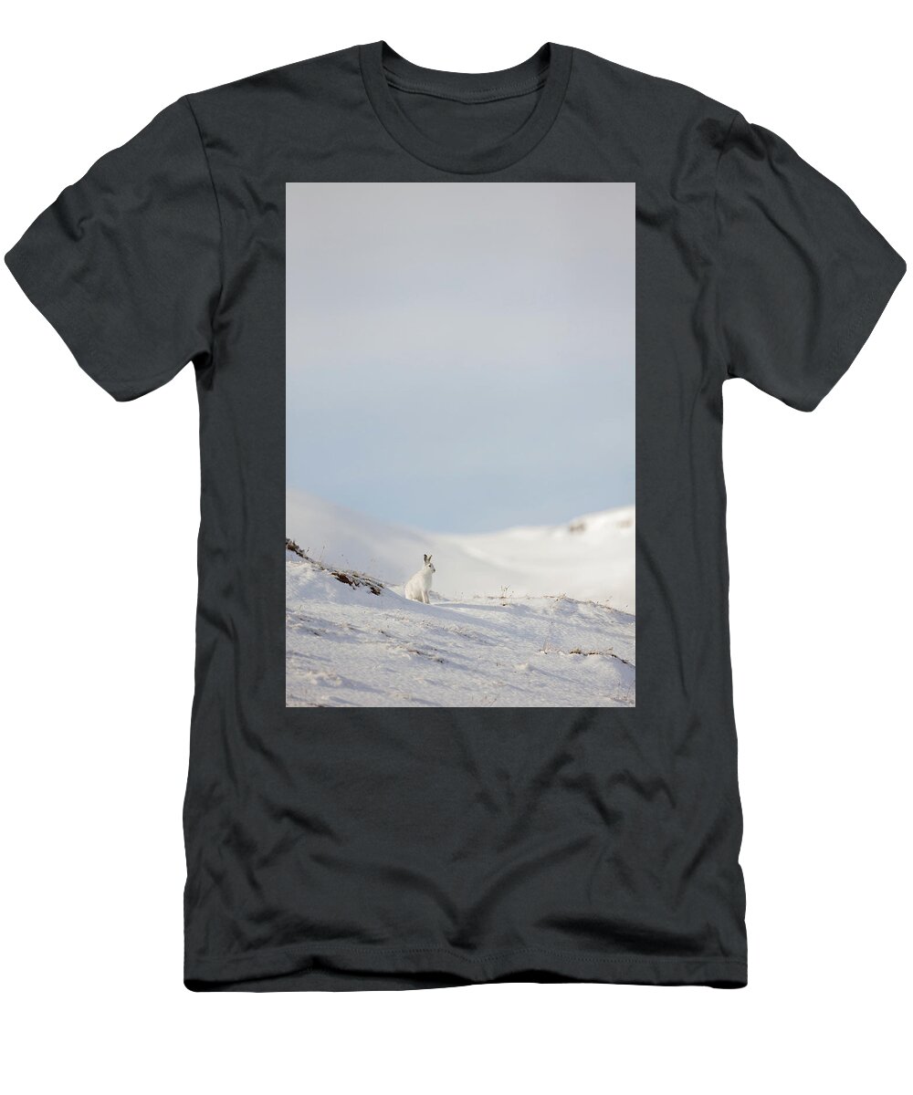 Mountain T-Shirt featuring the photograph Mountain Hare On Hillside by Pete Walkden