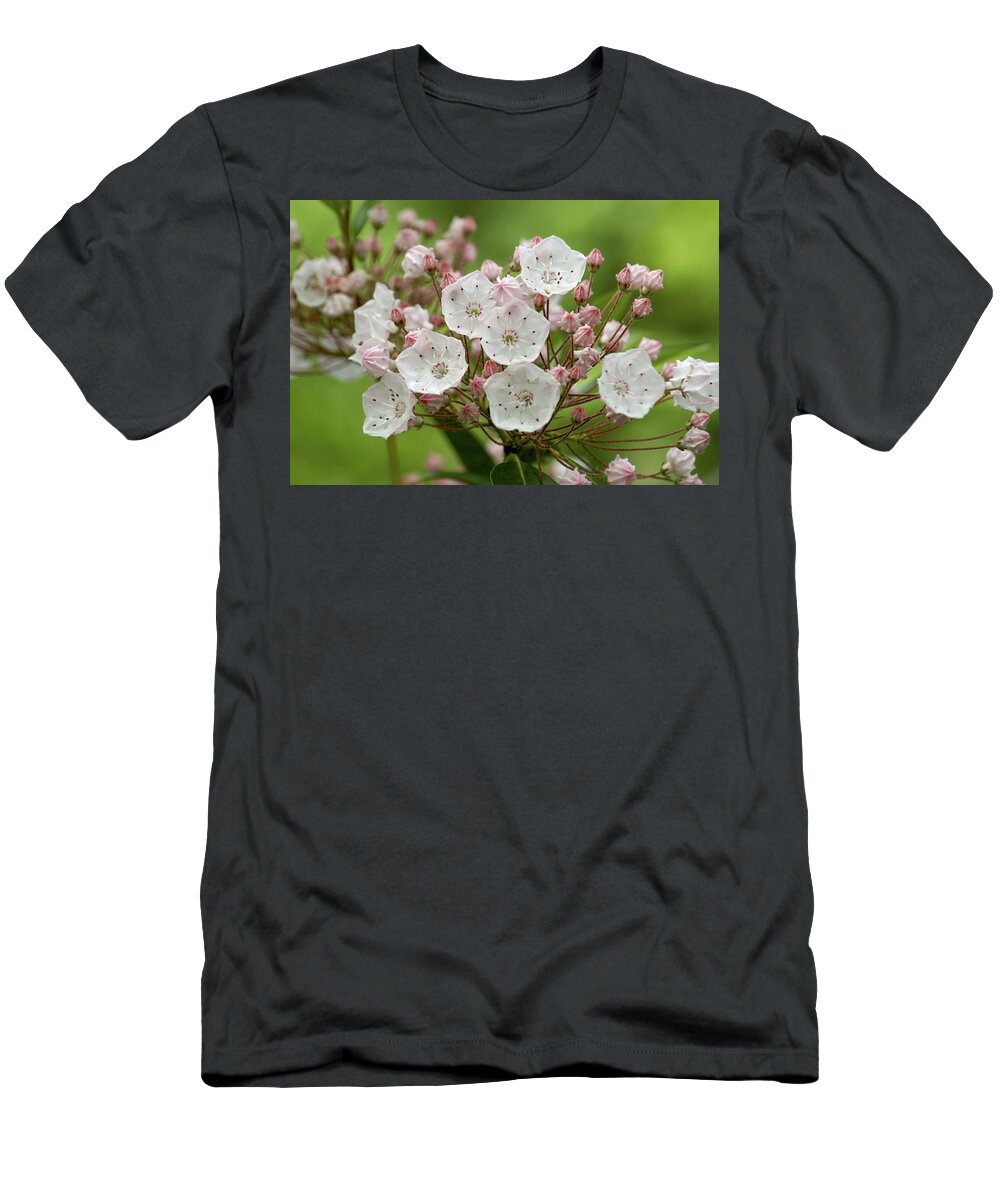 Flowers T-Shirt featuring the photograph Mountain Laurel by Henri Irizarri