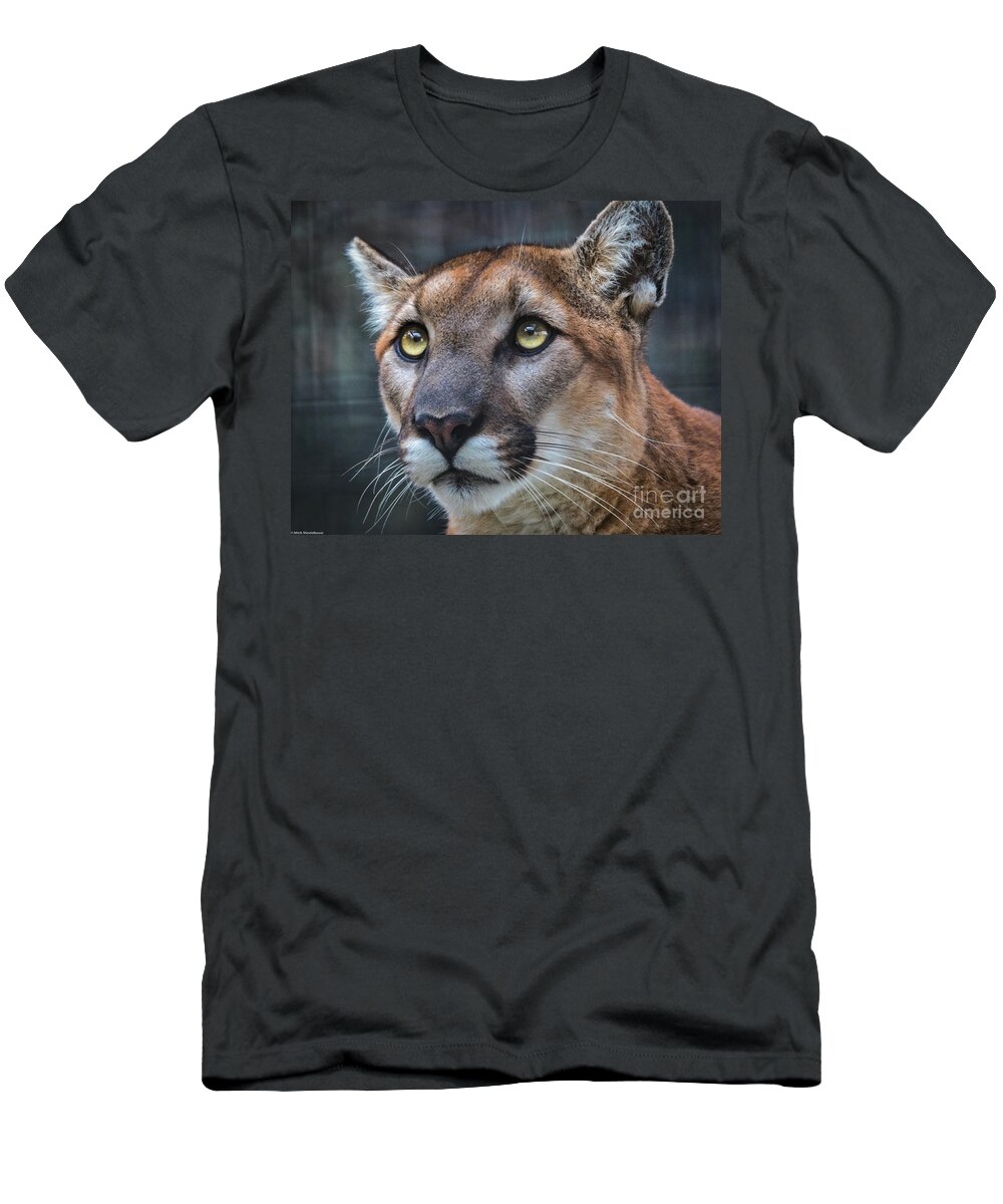 Mountain Lion Portrait T-Shirt featuring the photograph Mountain Lion Portrait by Mitch Shindelbower