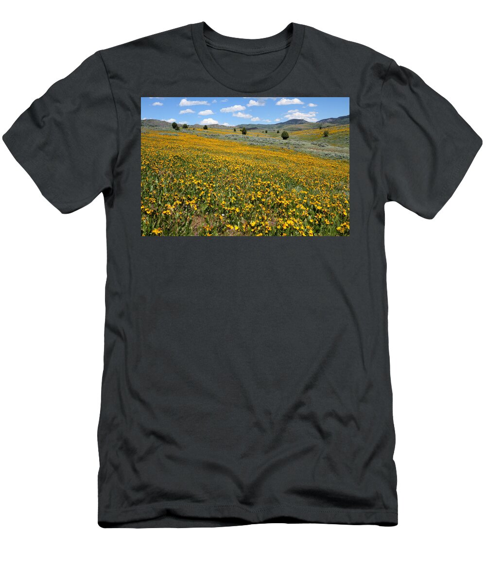 No People T-Shirt featuring the photograph Mountain Meadows of Yellow Wildflowers by Brett Pelletier