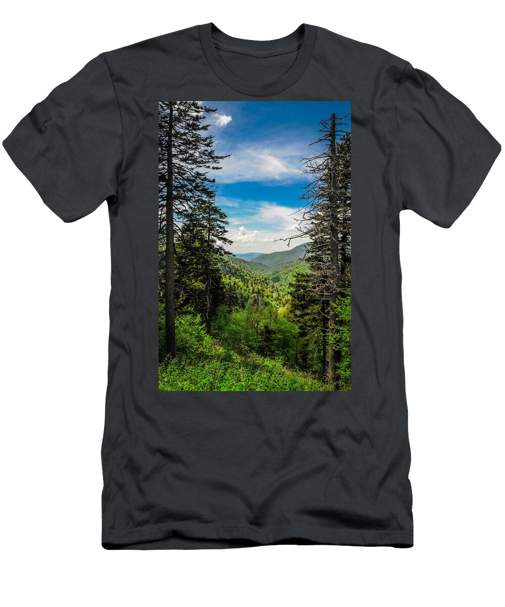 Mountains T-Shirt featuring the photograph Mountain Pines by James L Bartlett