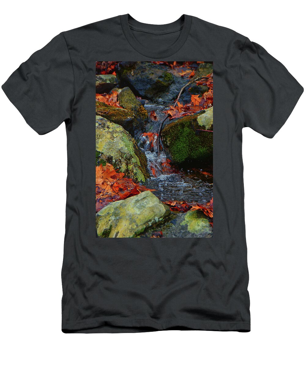Mountain Spring On The At T-Shirt featuring the photograph Mountain Spring on the AT by Raymond Salani III