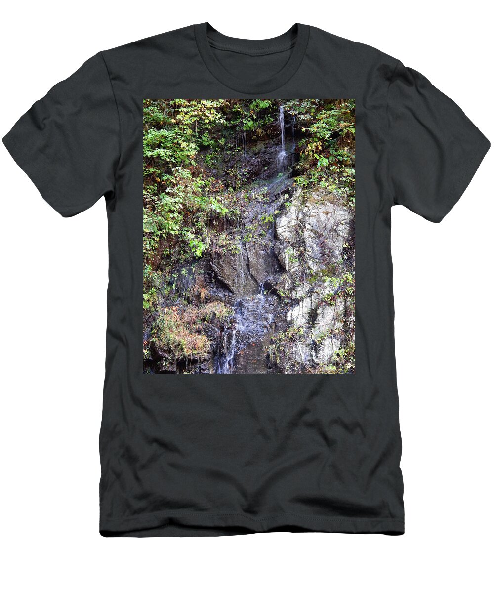 Waterfall T-Shirt featuring the photograph Mountain Spring by Phil Perkins