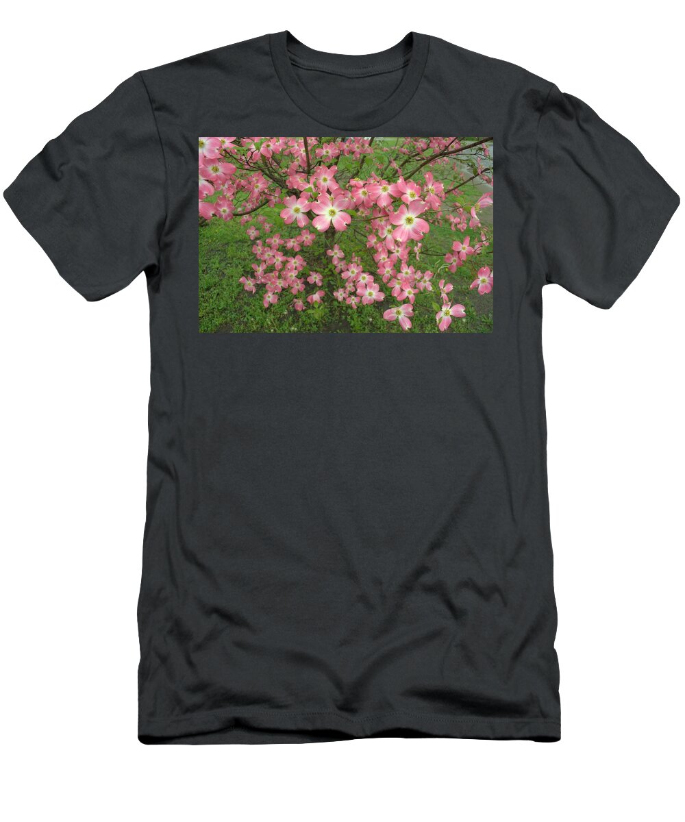 Blossom T-Shirt featuring the photograph Mountian Dogwood Tree by Kathy Barney