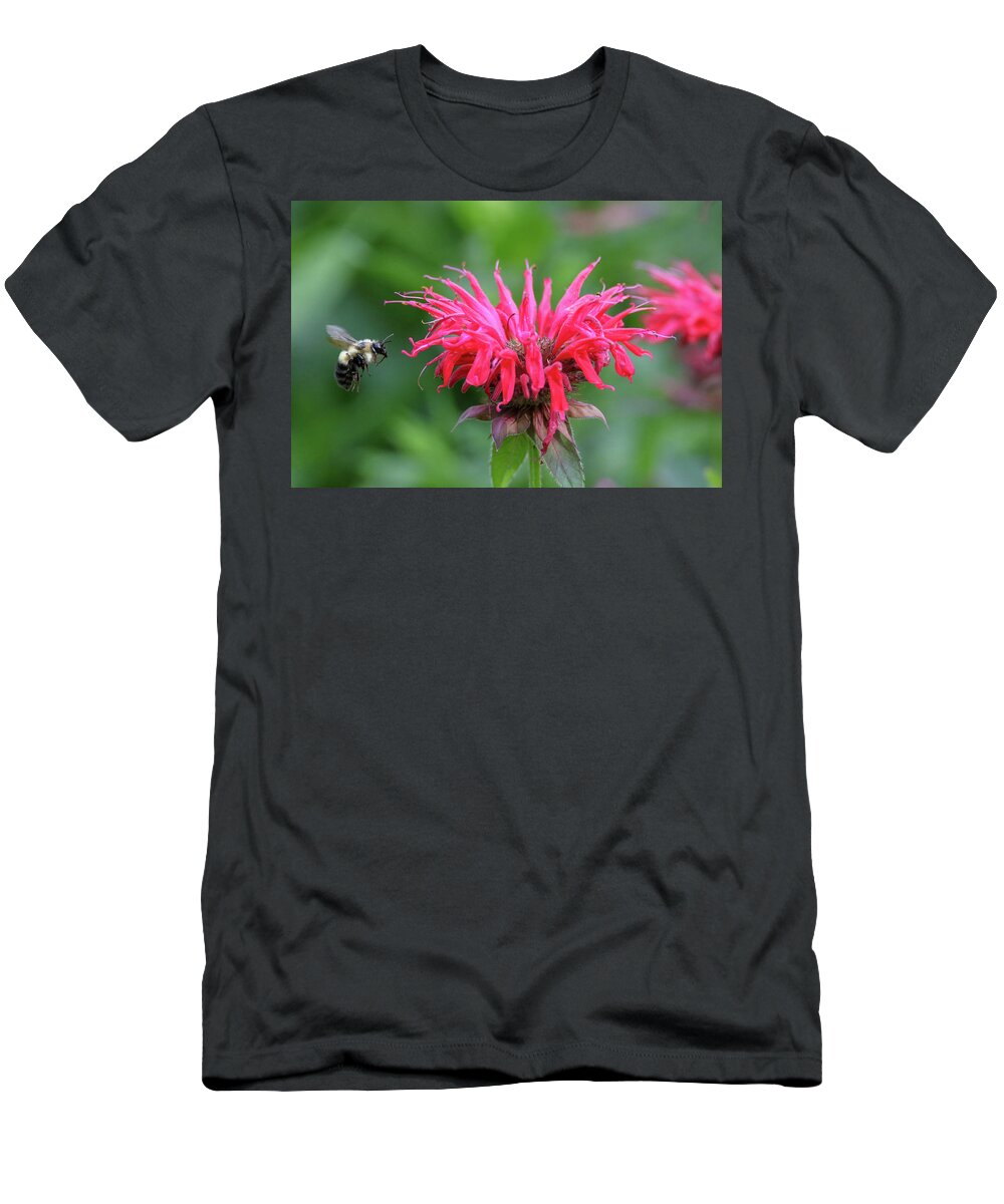 Bumble Bee T-Shirt featuring the photograph Mr. Brumble and Bee Balm by Brook Burling