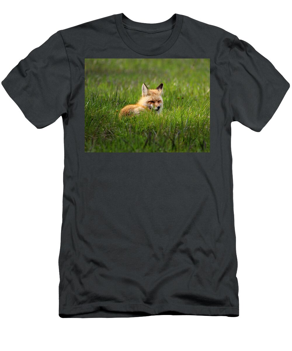 Fox T-Shirt featuring the photograph Mr. Fox by Fiona Kennard