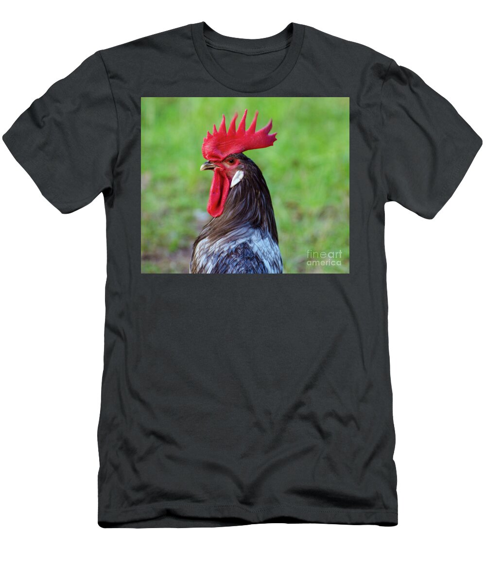 Chicken T-Shirt featuring the photograph Mr. Handson Grady Portrait by Donna Brown