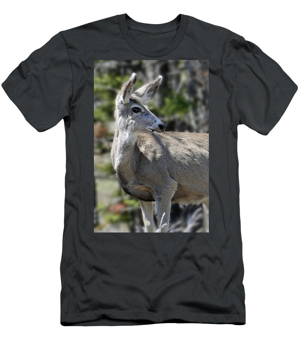 Mule Deer T-Shirt featuring the photograph Mule Deer 5 by JustJeffAz Photography