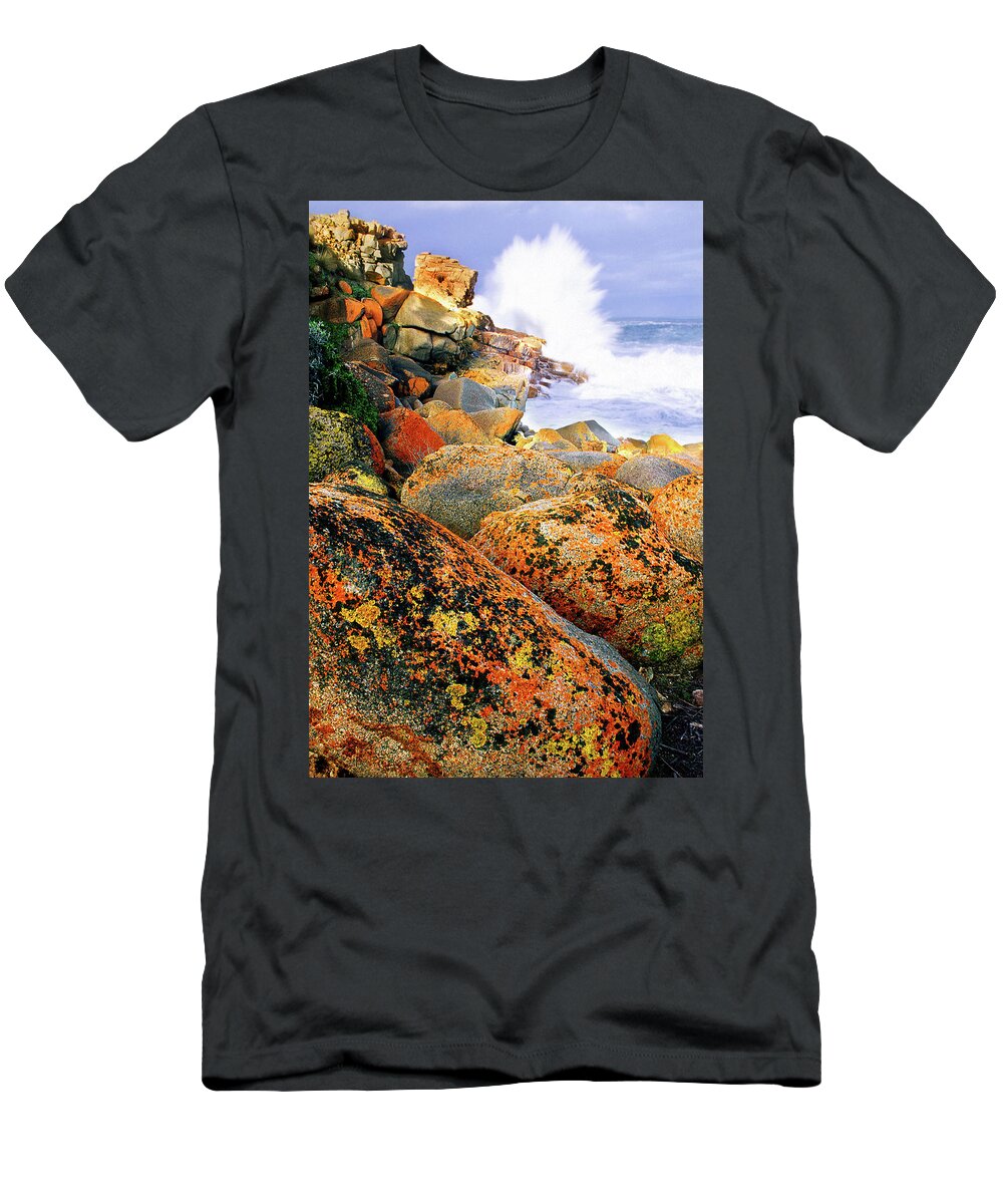Multi-color T-Shirt featuring the photograph Multicolor Rocks by Ted Keller